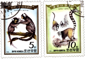 Марки Северная Корея 1985 год, обезьяны