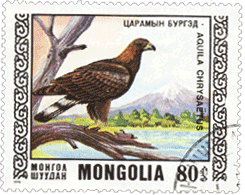 беркут на почтовой марке Монголии