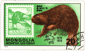 Почтовая марка Монголии бобр