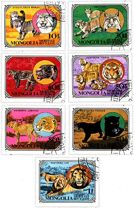 Марки Монголия 1979 год, хищные животные