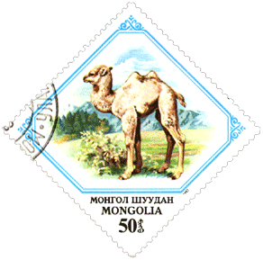 Верблюд на почтовой марке Монголия