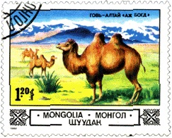 На марке Монголии верблюд
