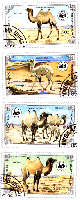 Марки Монголия 1985 год охраняемые животные верблюды
