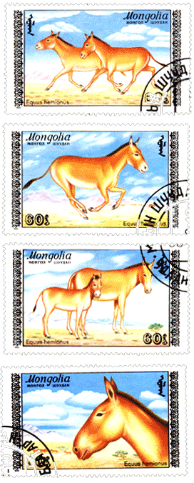 Марки Монголия 1988 год, лошади
