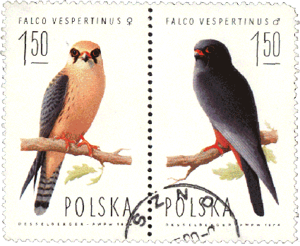Польша птицы на почтовых марках