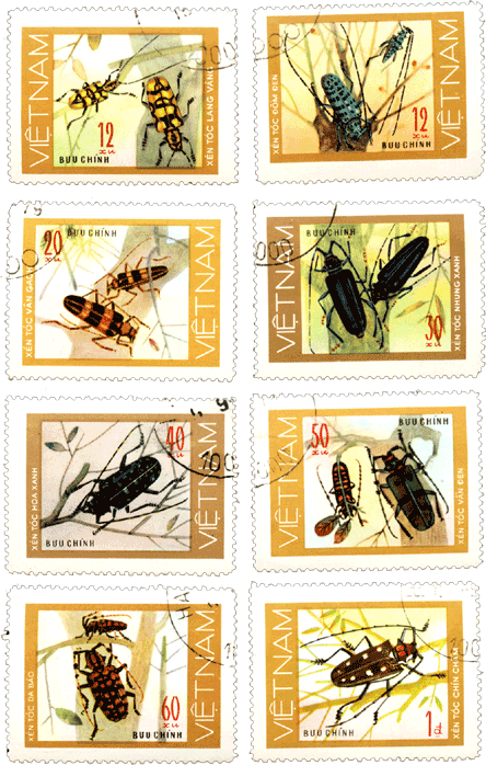 Марки Вьетнам 1977 год Насекомые жуки-усачи