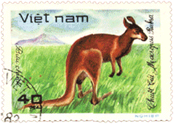 кенгуру на почтовых марках