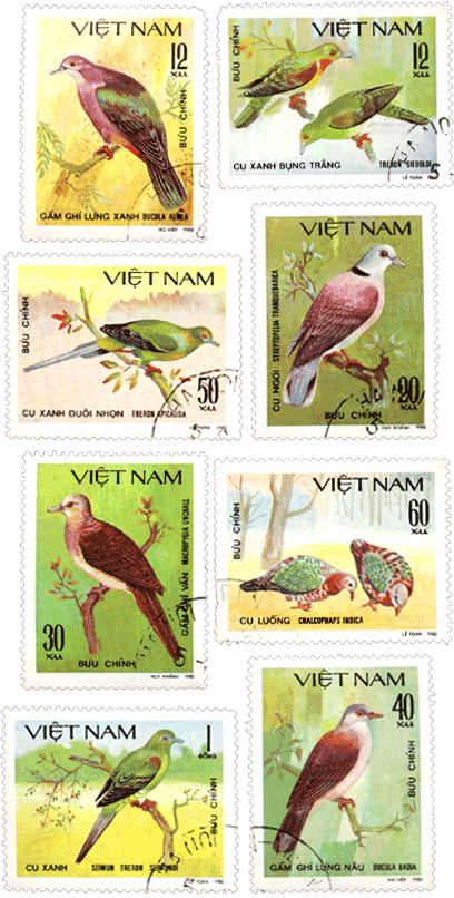 Марки Вьетнам 1981 год дикие голуби
