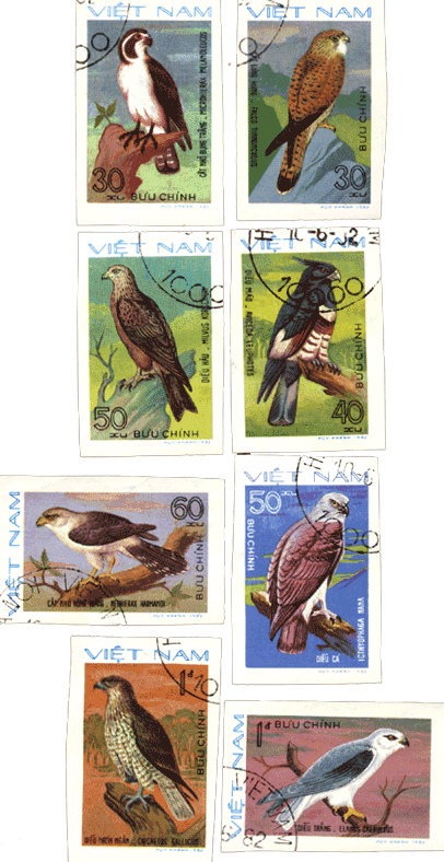 Марки Вьетнам 1982 год хищные птицы