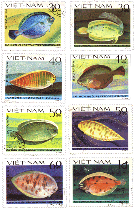 Марки Вьетнам 1982 год Морская фауна